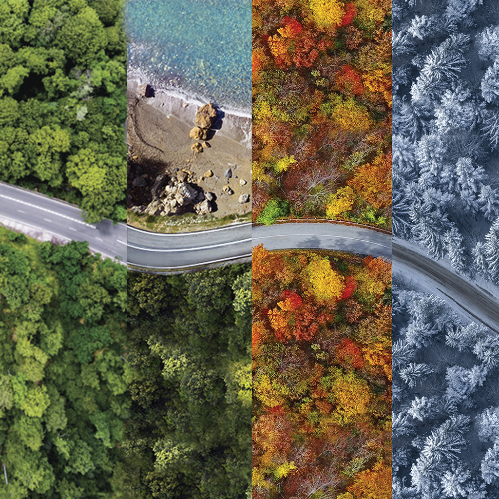 Migliore manovrabilità su superfici asciutte, bagnate e innevate